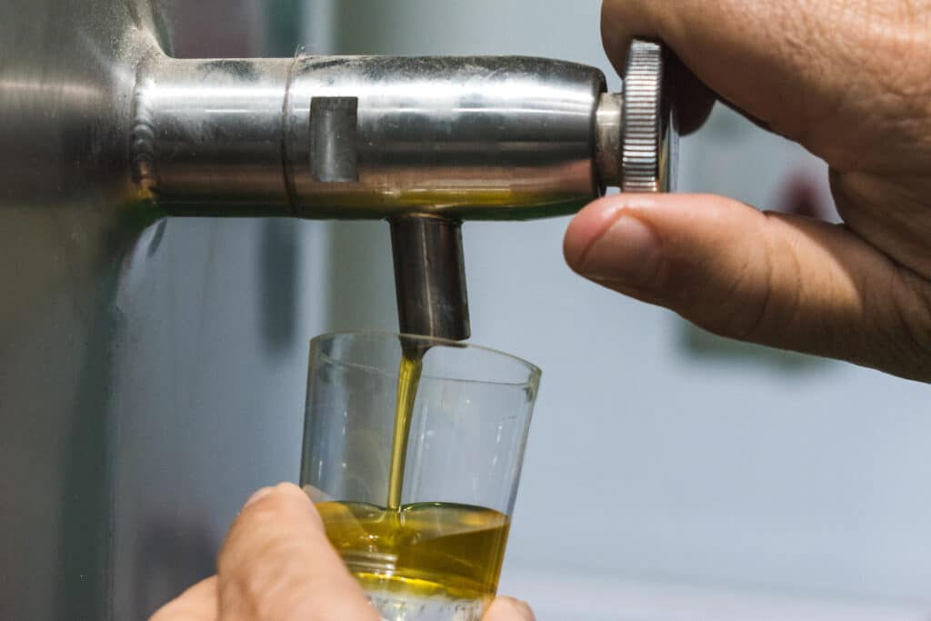 Olive oil tasting featuring freshly drawn oil from the barrel