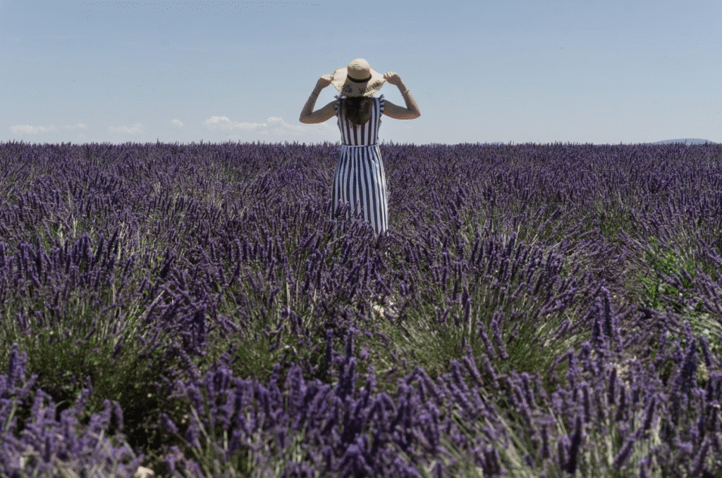 Learn how to cook with Lavender in Lourmarin