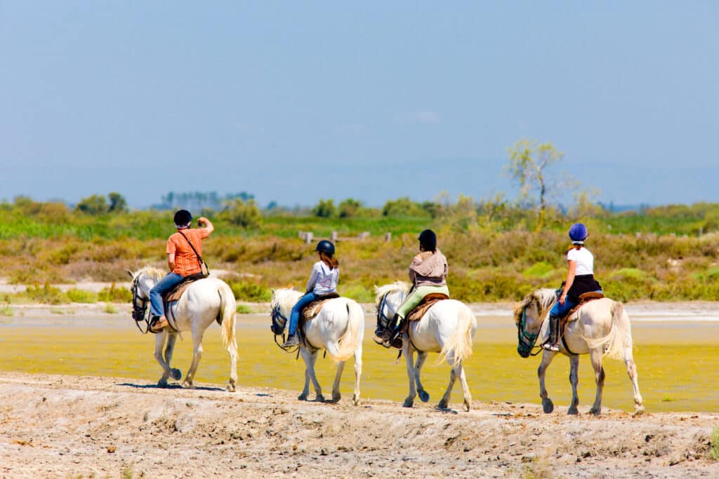 Horseback riding in the Camargue wetlands