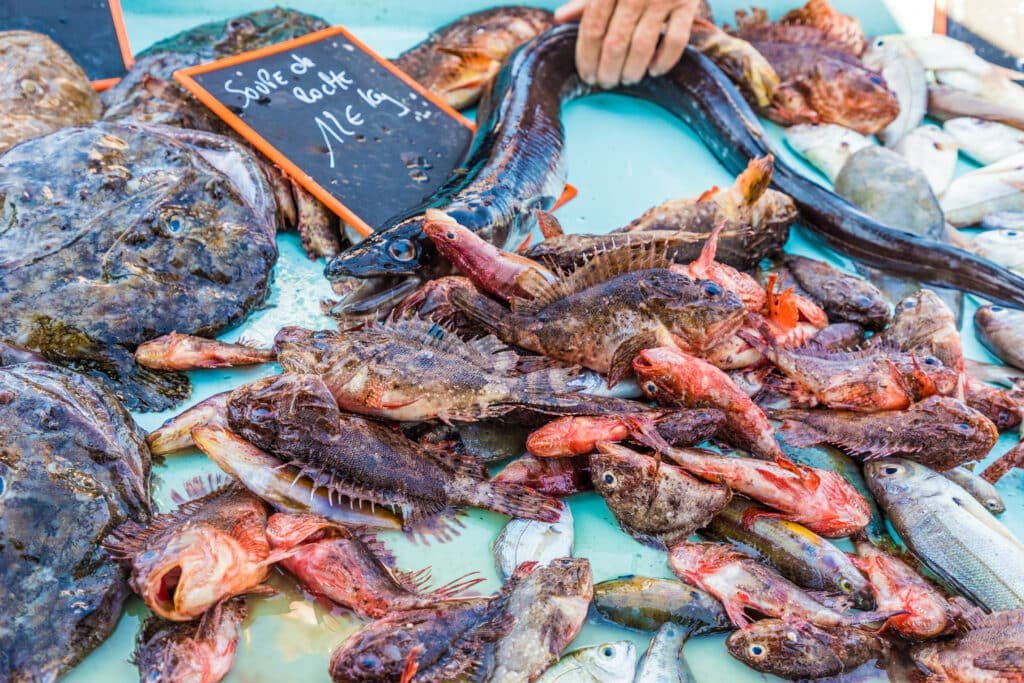 Fresh fish display at the Old Port fish market in Marseille