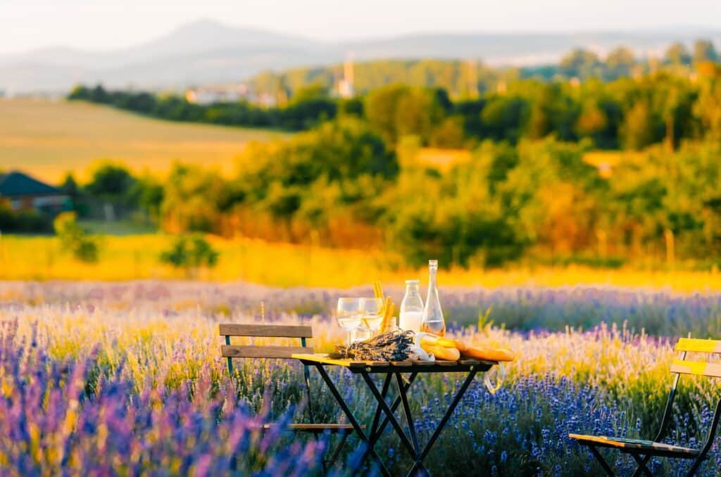Luxury picnic table set in a lavender field in Provence, South of France