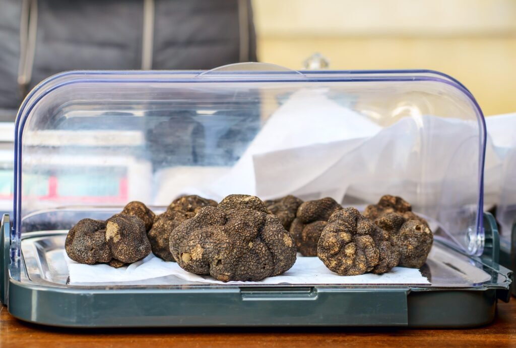 Close-up of freshly harvested black truffles