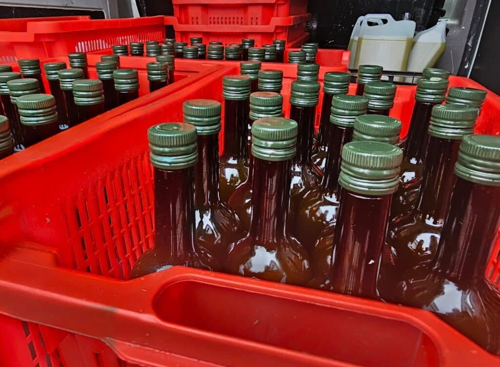 Provençal olive oil bottles placed in red harvest crates, showcasing authentic production and local craftsmanship in Provence
