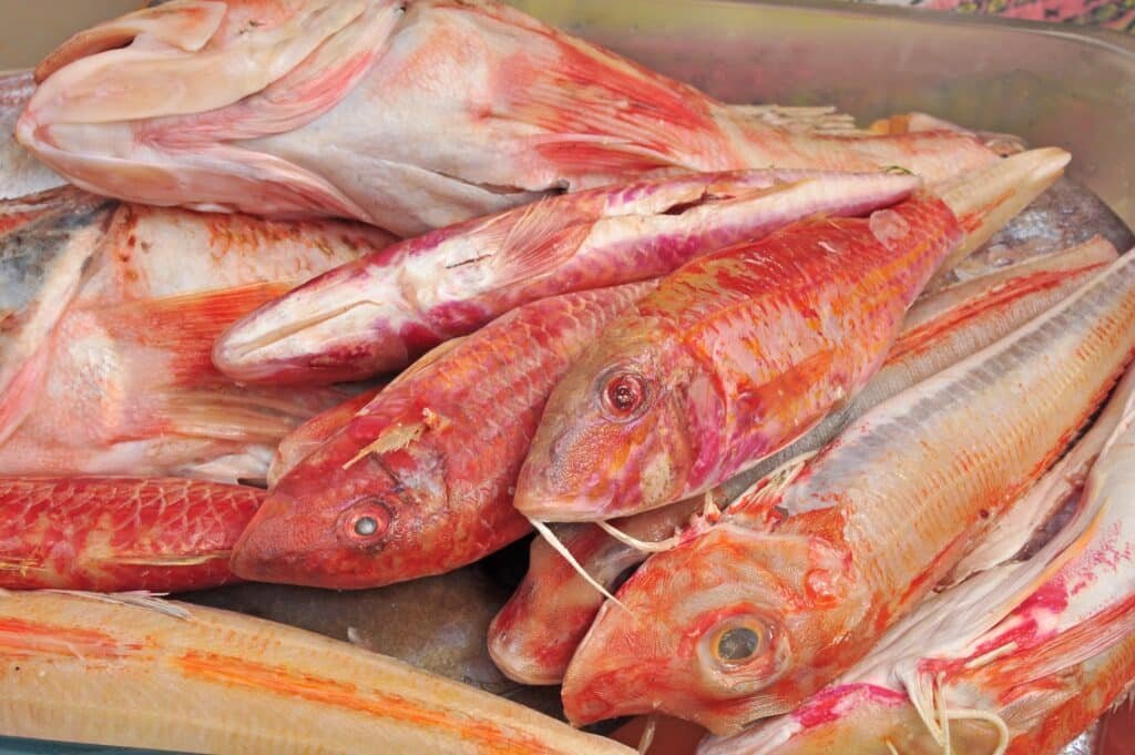 Fresh Mediterranean fish selection at a Provençal market for traditional cooking class