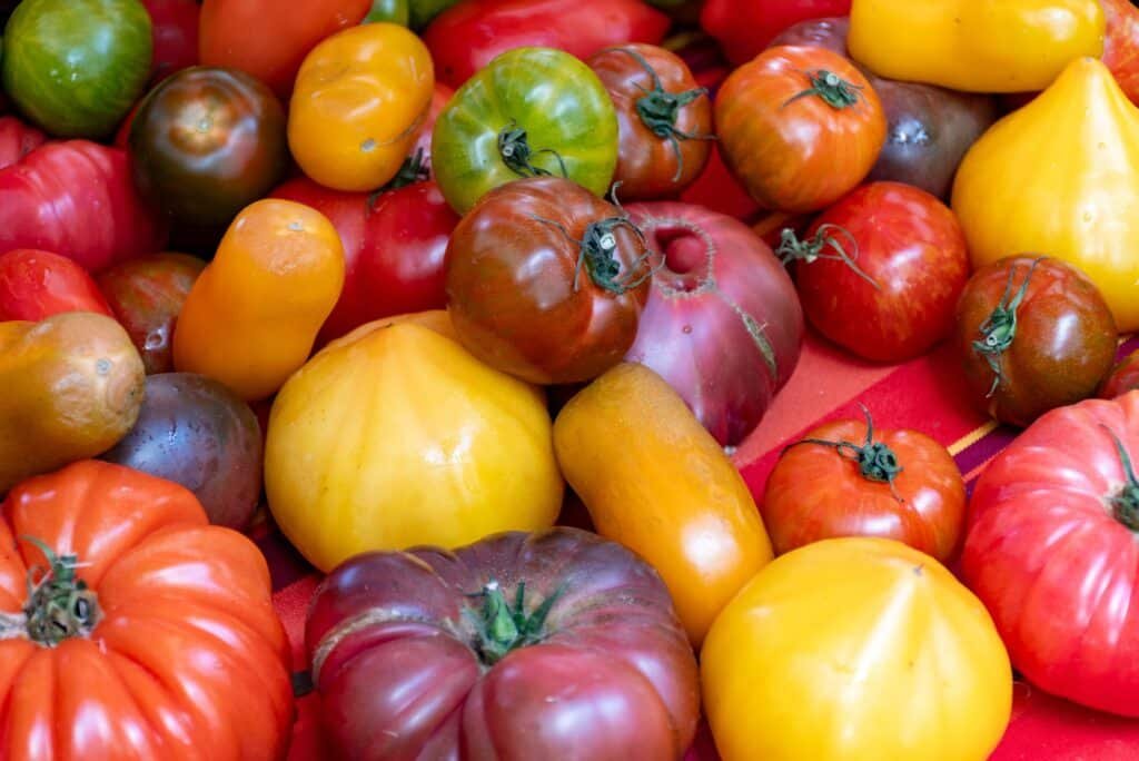 Colorful heirloom tomatoes displayed at a traditional Provençal market
